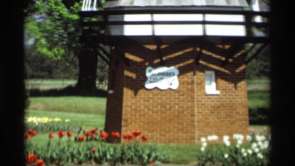 1969 home-movie frame of the Dutch-style windmill base with its sign, red tulips, white flowers, grass, and trees in Holland, Michigan.