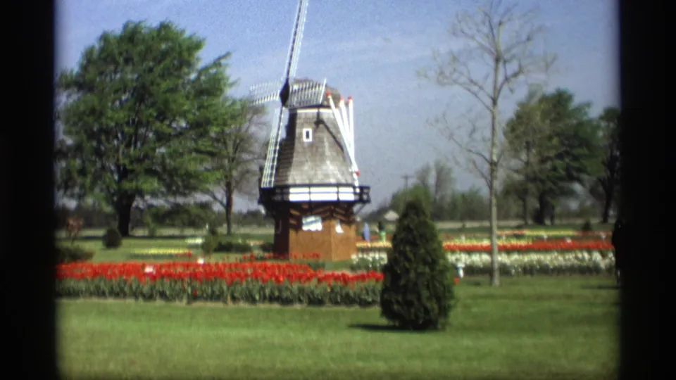 1969 Holland, Michigan garden view with a Dutch-style windmill, tulip rows, trees, and open lawn on 8mm film.