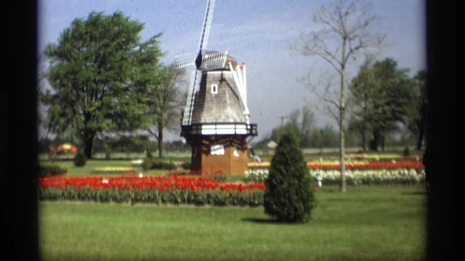Holland, Michigan windmill and tulip beds in a sunny 1969 8mm home-movie frame, with trees and lawn visible.