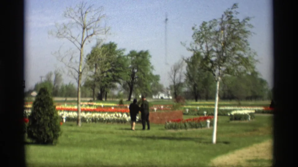 Two adults appear at a distance among Holland, Michigan tulip beds and lawn in 1969 home-movie footage.