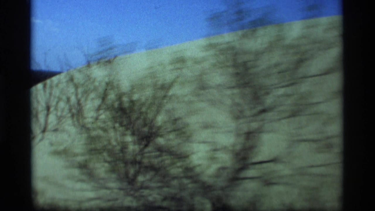 Blurred roadside dune grass seen through a moving car window.