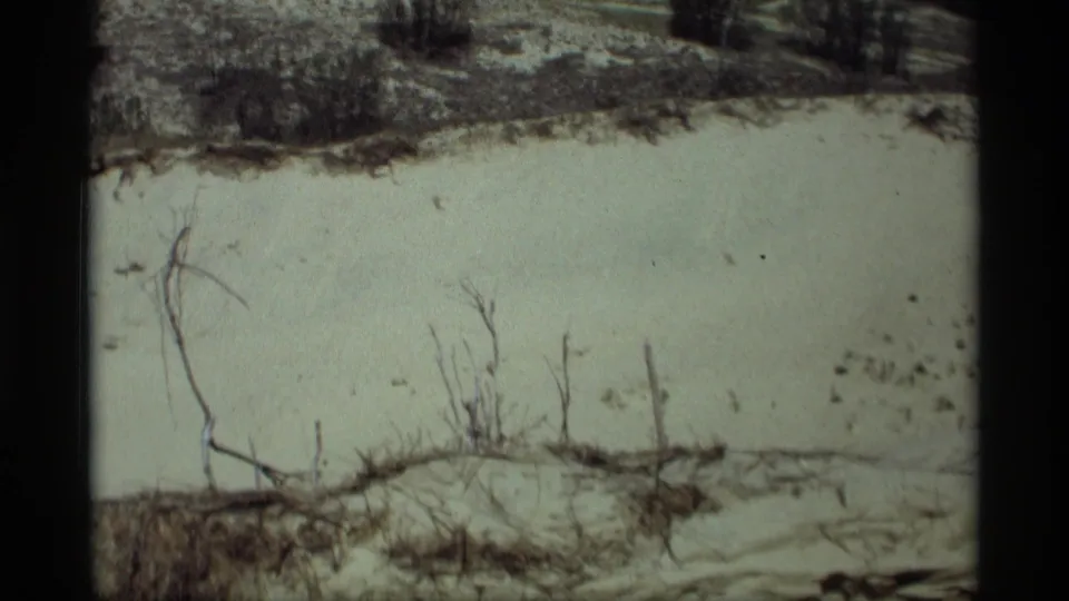 Close 1969 Holland, Michigan dune view showing pale sand, twiggy vegetation, and dark tree line beyond.