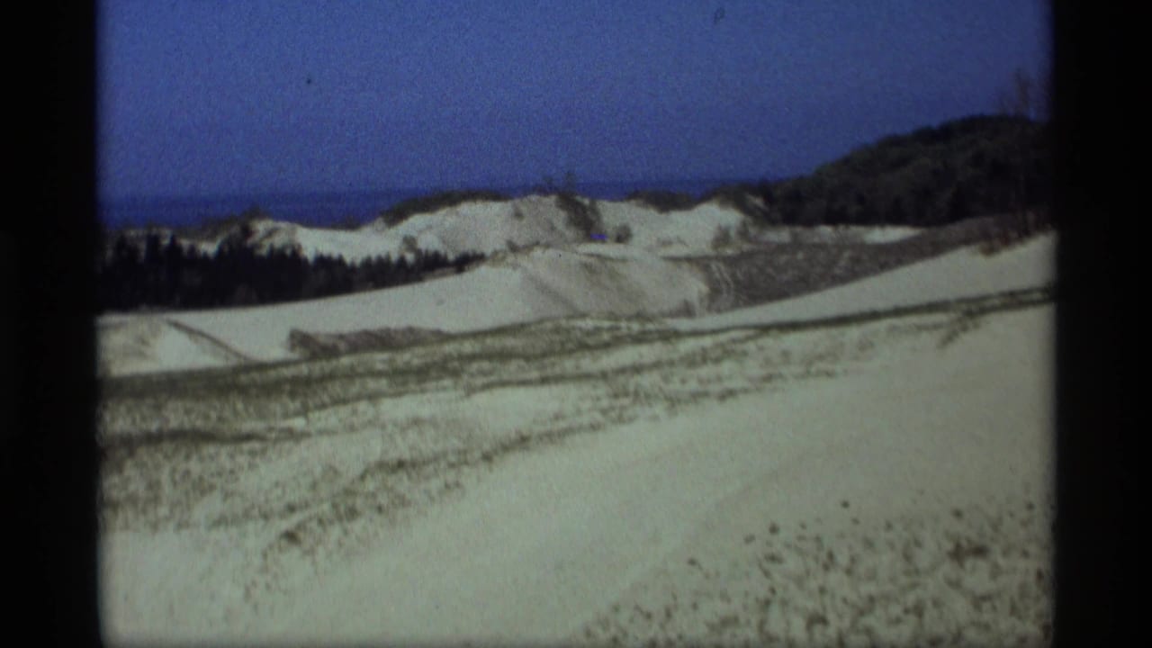 Pale sand dunes with sparse grass, dark trees, blue sky, and distant water.