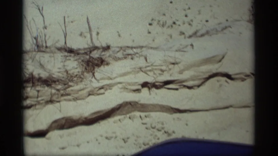1969 Holland, Michigan 8mm frame showing pale dune sand with exposed roots or driftwood and sparse wind-worn vegetation.