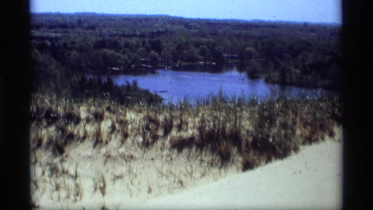 Lake seen beyond dune grass and trees under a blue sky.