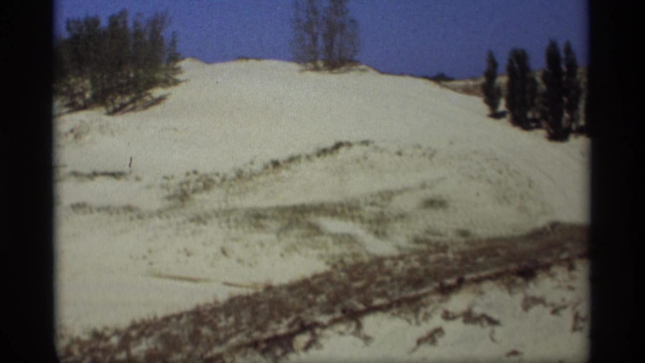 Snow-covered dune or hill with sparse trees and blue sky.