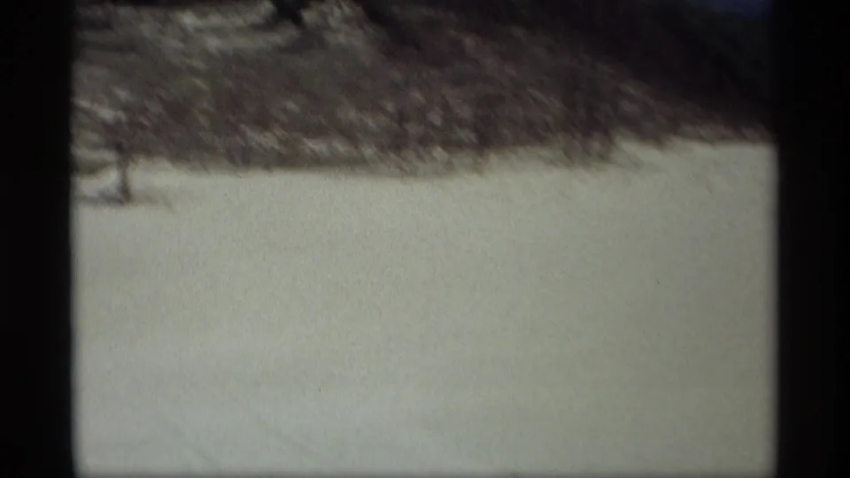 Snow-covered ground in Holland, Michigan, with a darker line of winter brush and trees near the top of the frame.