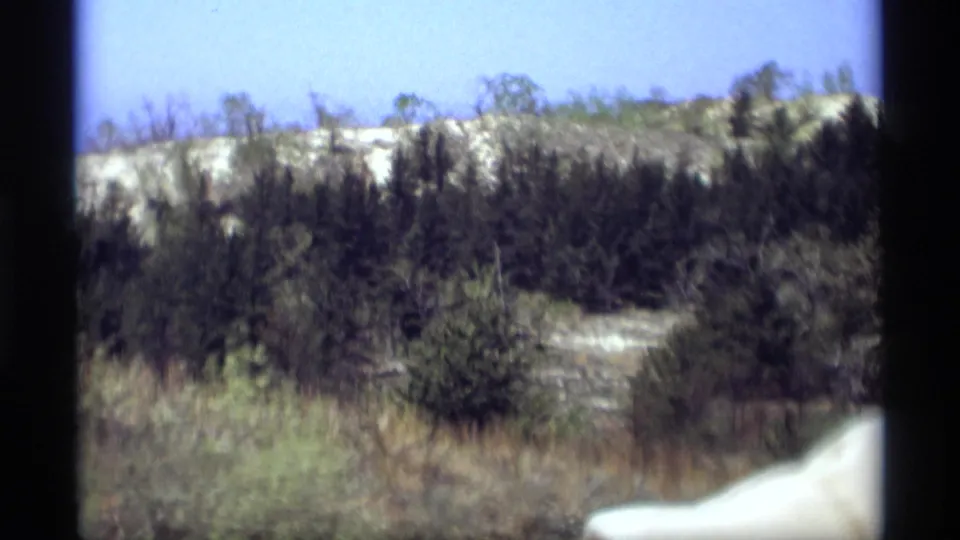 Rural Holland, Michigan frame with brush, trees, a distant light hillside, blue sky, and part of the car at the lower right.