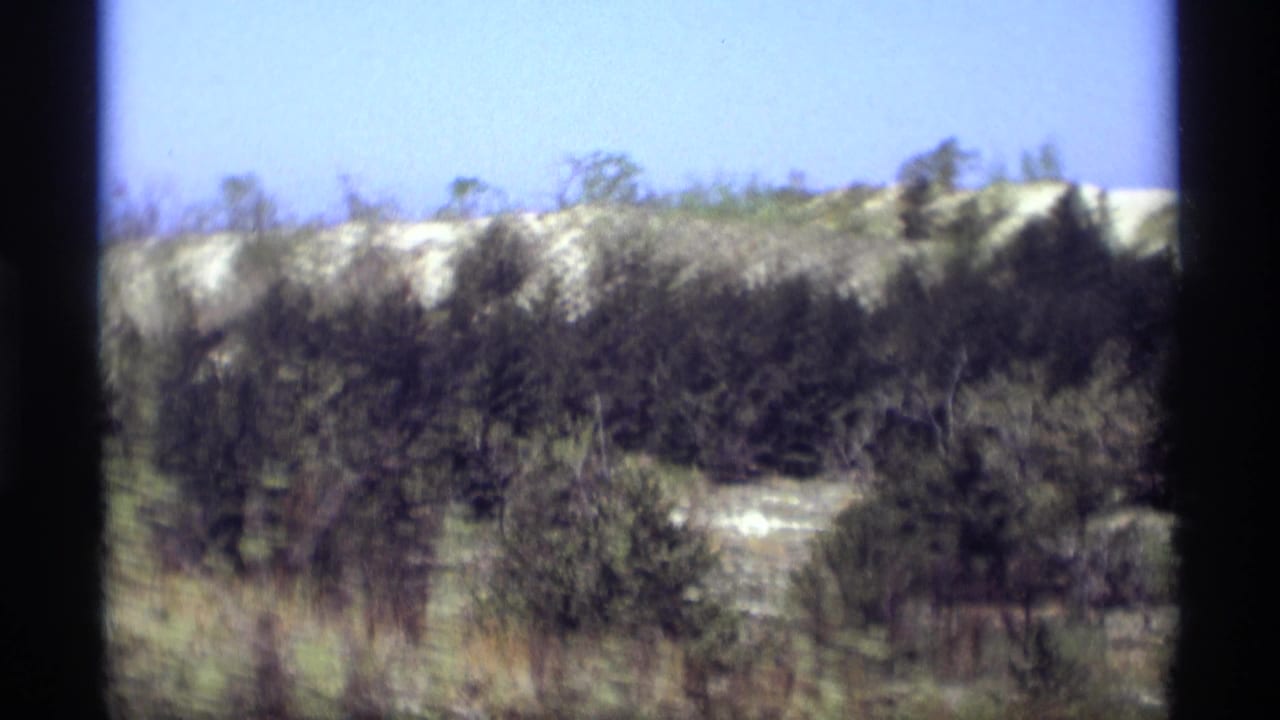 Evergreen trees and pale sand dunes seen from a moving vehicle.