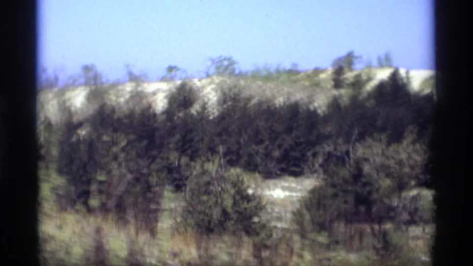 1969 8mm home-movie view of evergreen trees and pale sand dunes near Holland, Michigan, framed by dark vehicle or film edges.