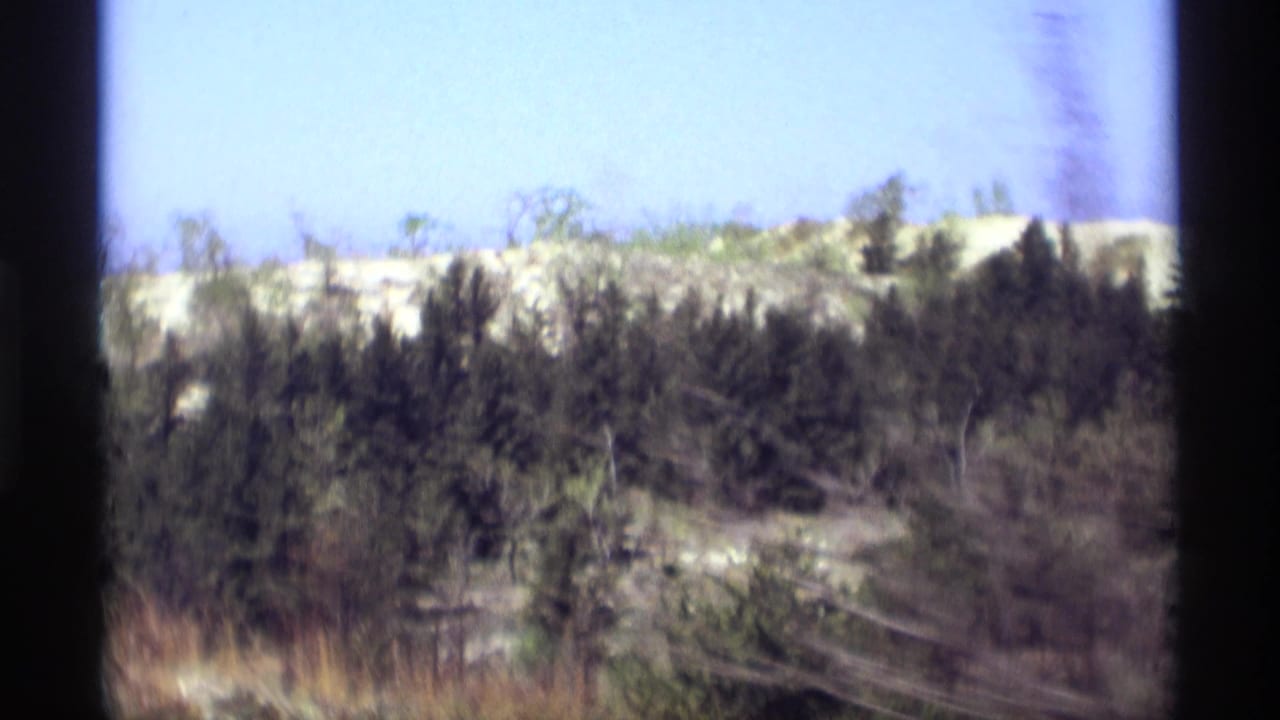 Dense trees and light sand ridges under a blue sky.