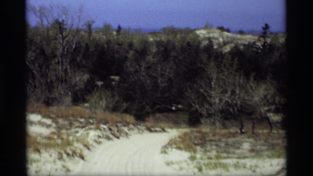Pale dirt path curves through scrub and leafless trees beneath blue sky.