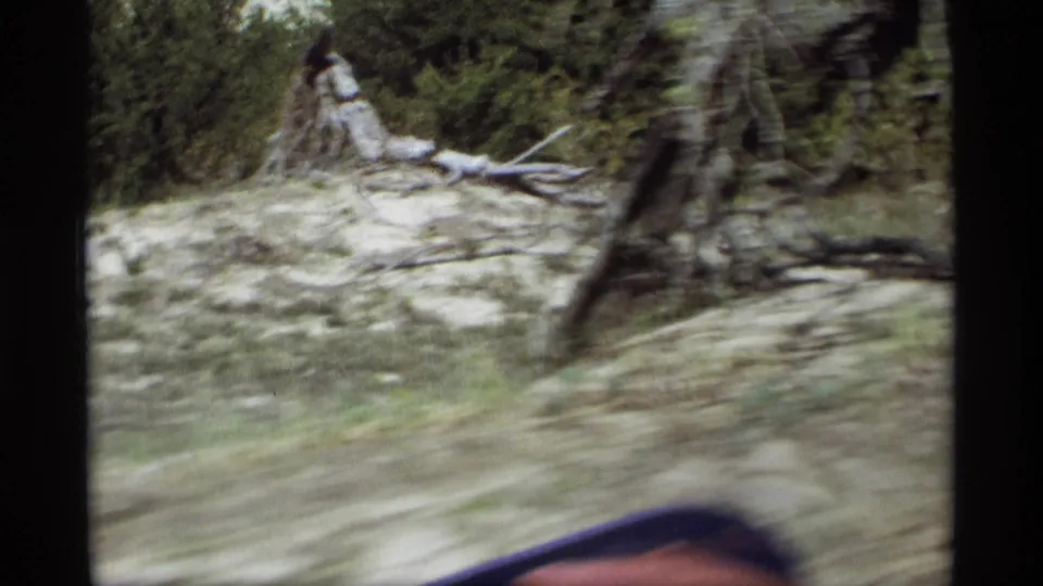 Holland, Michigan home-movie frame with motion blur across sandy ground, sparse trees, and a partial passenger edge inside the vehicle.