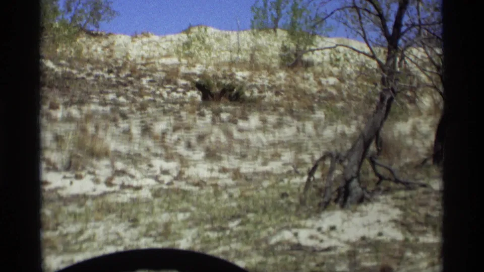 1969 Holland, Michigan 8mm view from a vehicle toward a sandy field, low vegetation, a leaning tree, bare branches, and blue sky.