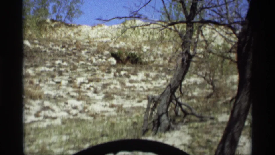 Holland, Michigan 1969 home-movie frame showing a sandy, dune-like slope with sparse trees, patchy vegetation, and vehicle framing.