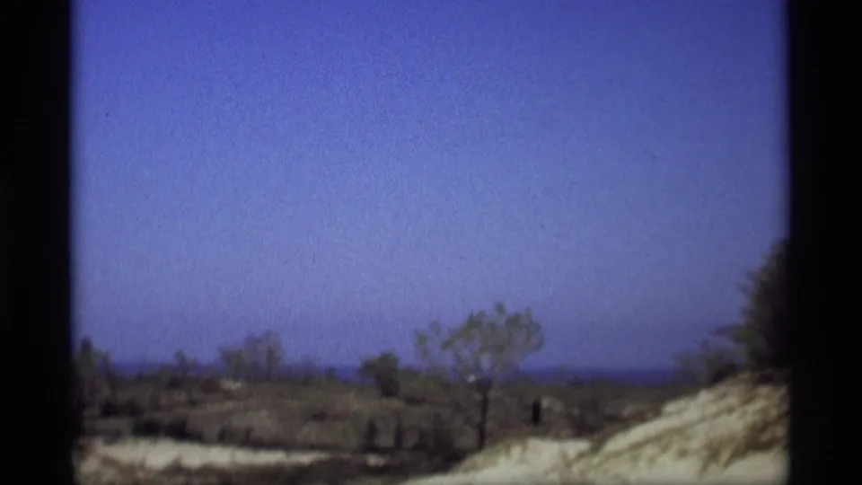 1969 Holland, Michigan view across low dune vegetation, scattered trees, and a sandy hill under blue sky.