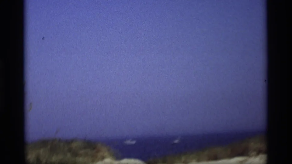 1969 Holland, Michigan shoreline view with dark blue water beyond dune plants and small distant boats.