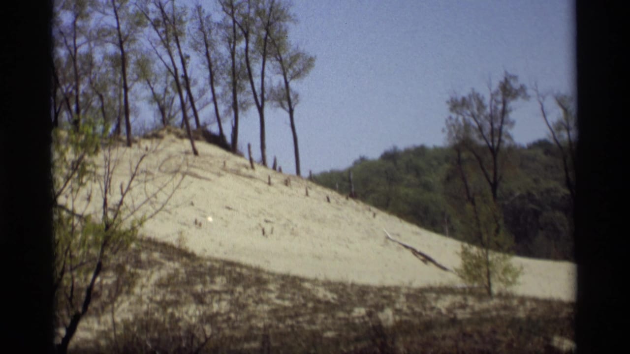 Sandy hill with sparse trees along the top and brush at the base.
