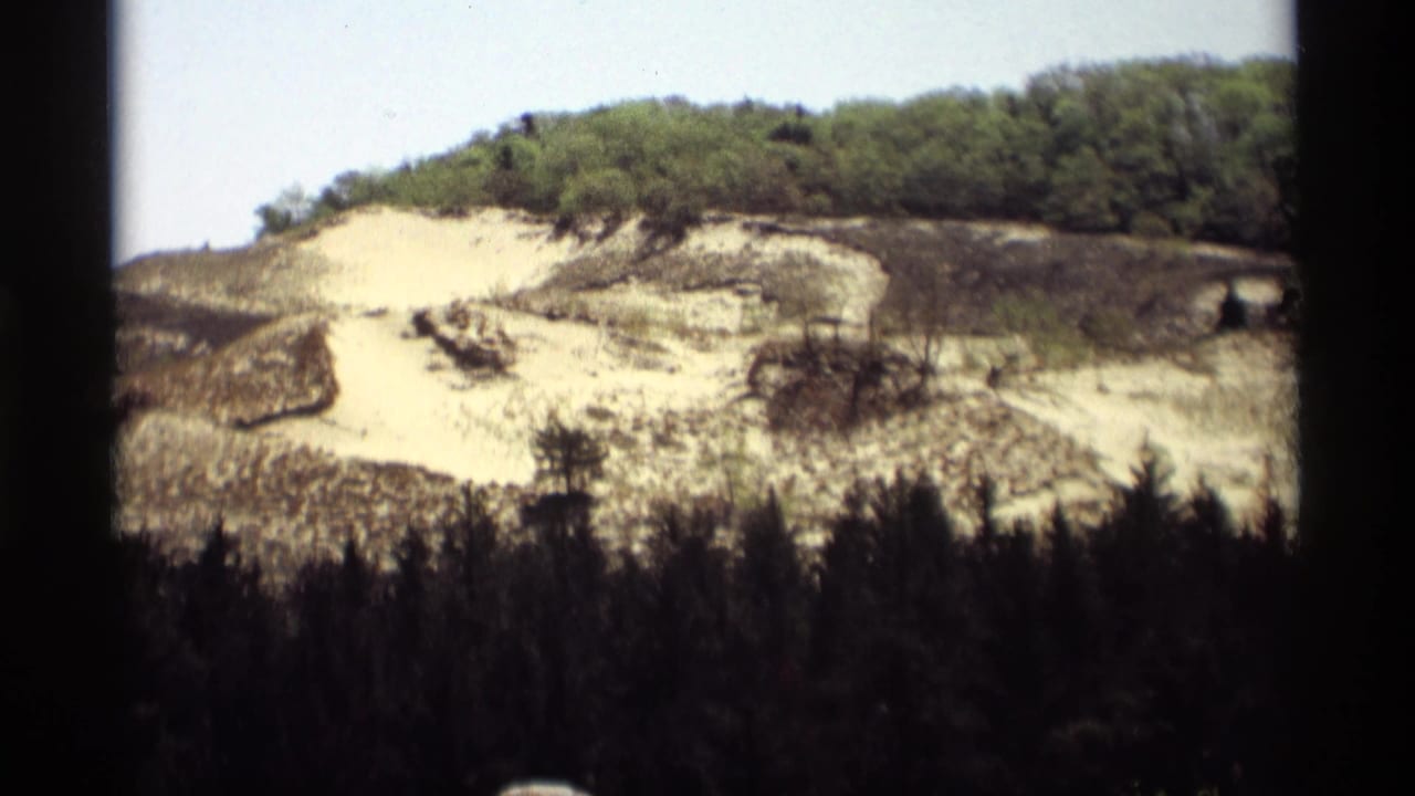 Fire-scarred sandy hillside bordered by dark foreground trees and green woodland.
