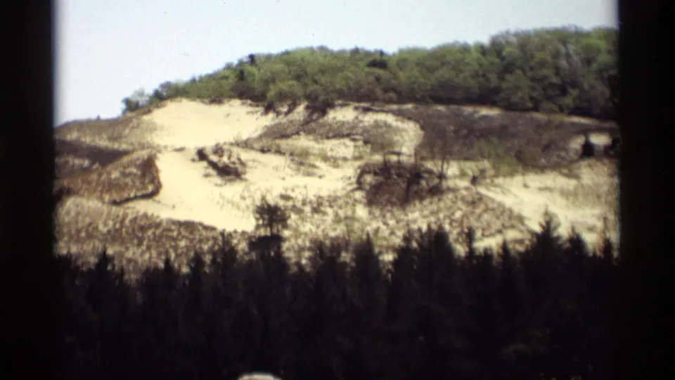 1969 Holland, Michigan 8mm view of a blackened sandy hillside rising behind dark foreground trees and surviving green woods.