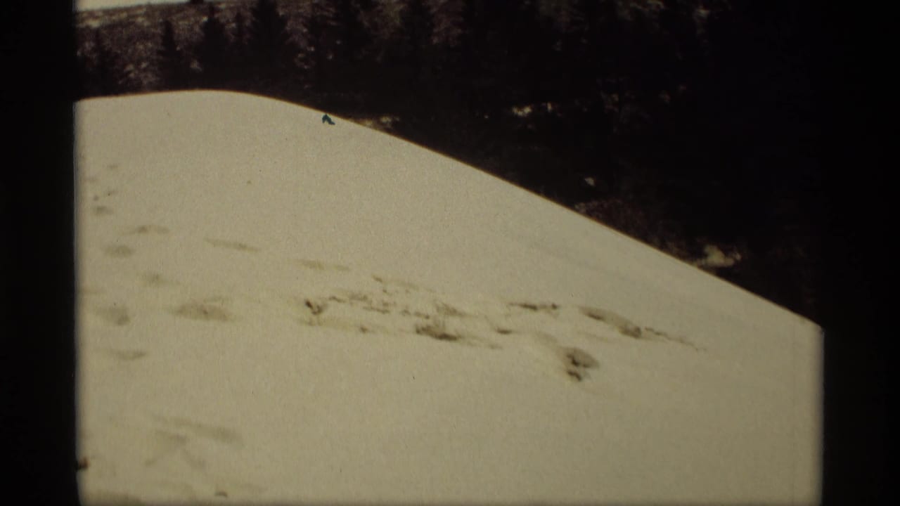 1969 Holland, Michigan winter frame with a pale snowbank, scattered surface marks, and dark trees beyond the hill crest.