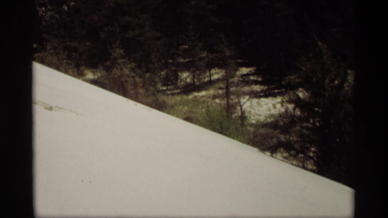 Snow-covered slope bordered by dark evergreen trees and brush.