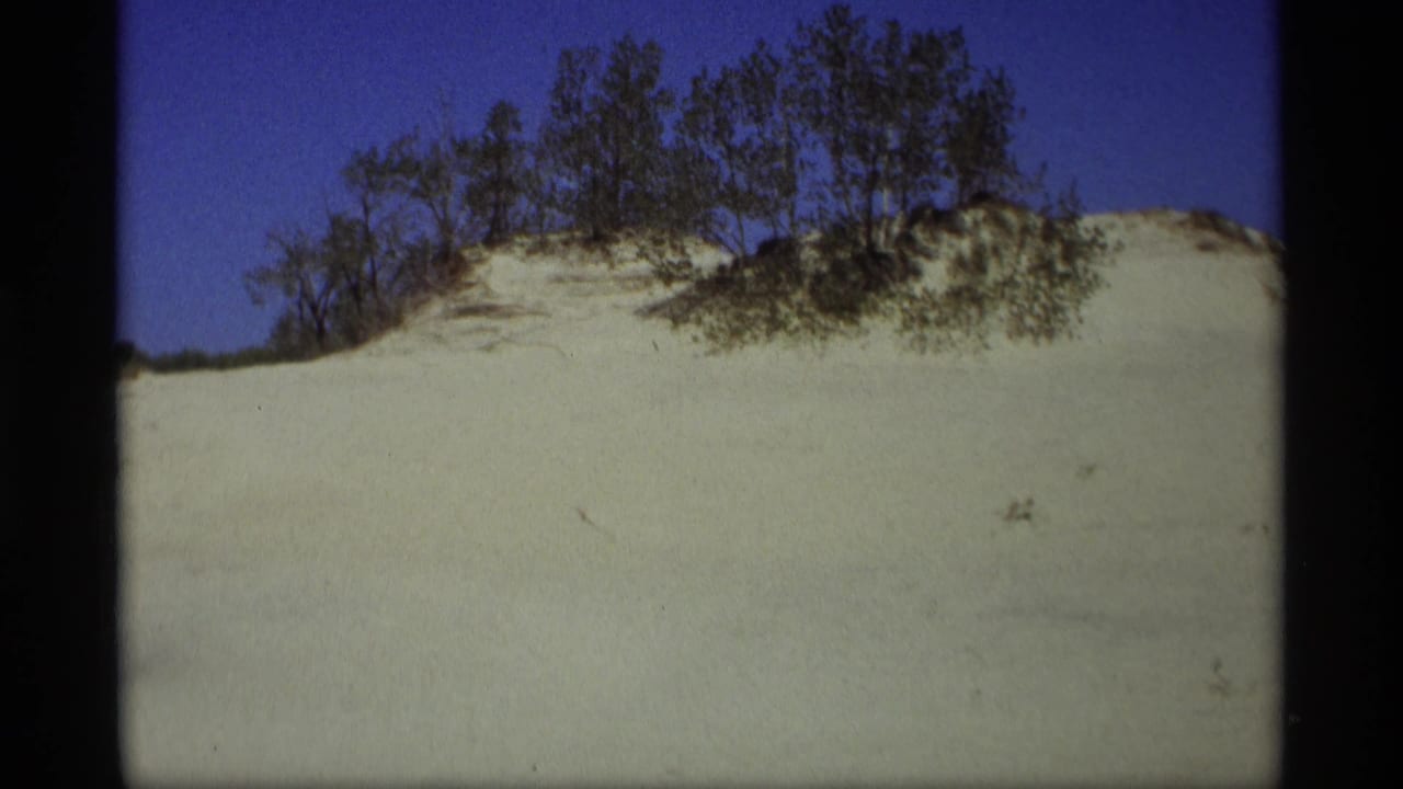 Pale sand dune topped with small trees under a blue sky.