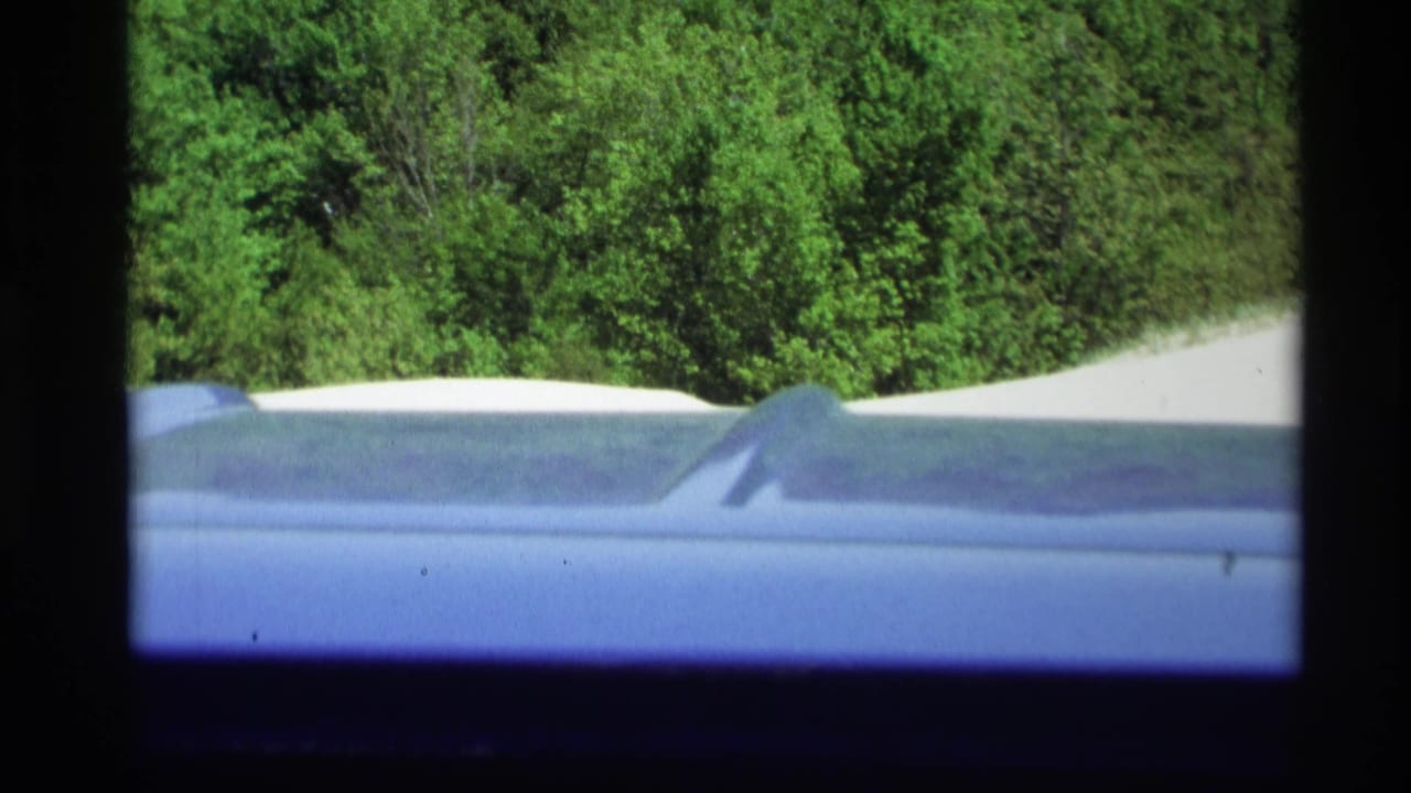 View past a blue car roofline toward green trees and pale sand.