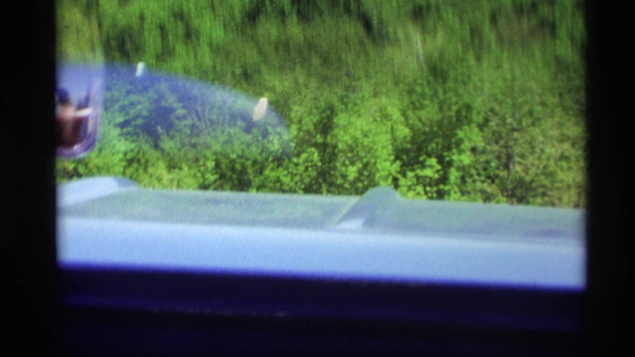 Blue car surface and side mirror beside green roadside vegetation.