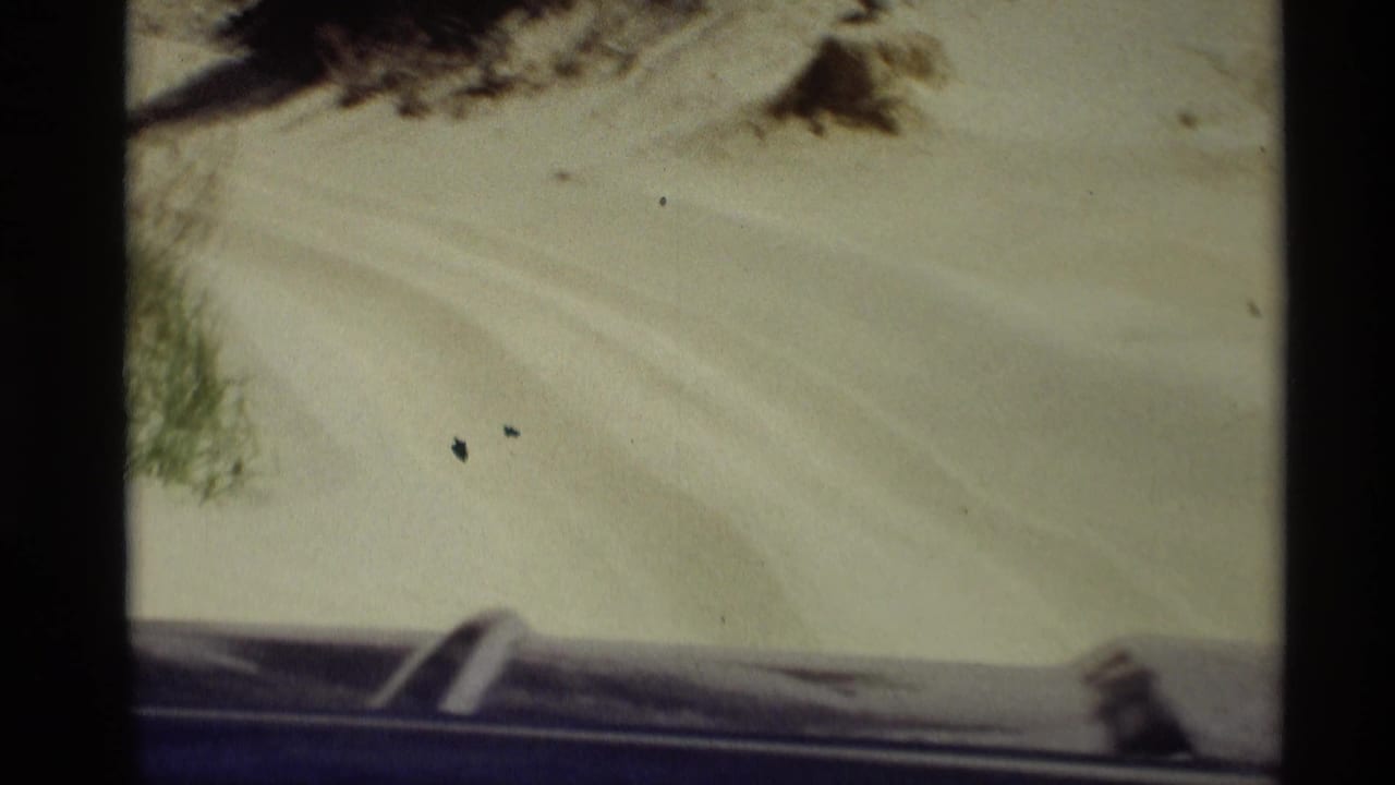 8mm frame from a moving blue vehicle, showing sandy terrain, light tire marks, and sparse dune vegetation in Holland, Michigan context.