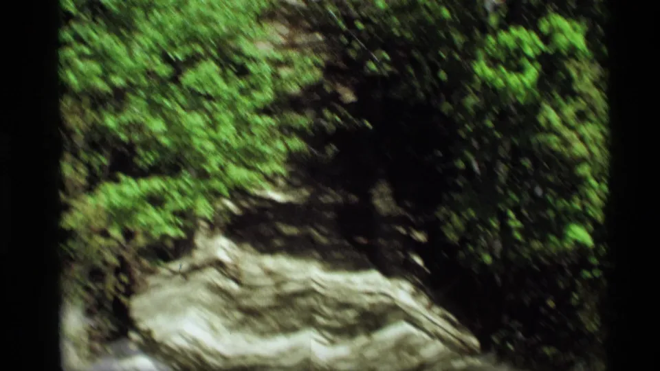1969 8mm frame from Holland, Michigan showing a narrow sandy wooded path with bright foliage and pale layered terrain.