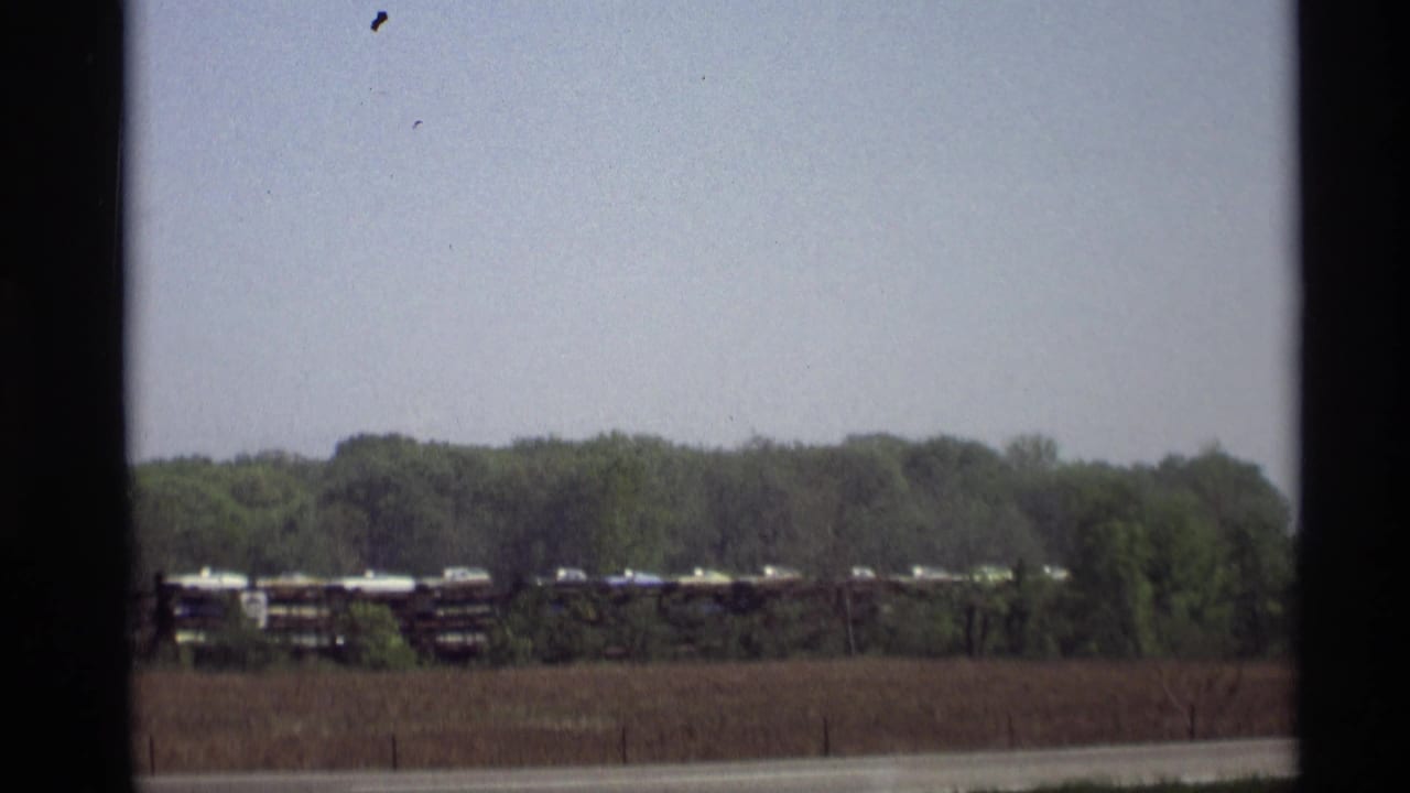 Long freight train with automobile loads behind a field and treeline.