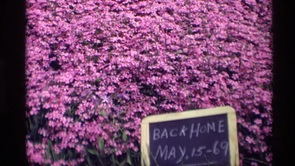 Wider 1969 home-movie view of the dated Back Home sign placed before pink flowers in Holland, Michigan.