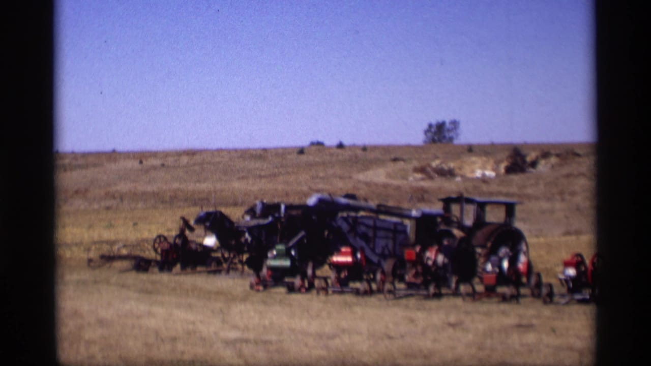 Rusted tractors and farm equipment lined up in a dry field under a blue sky.