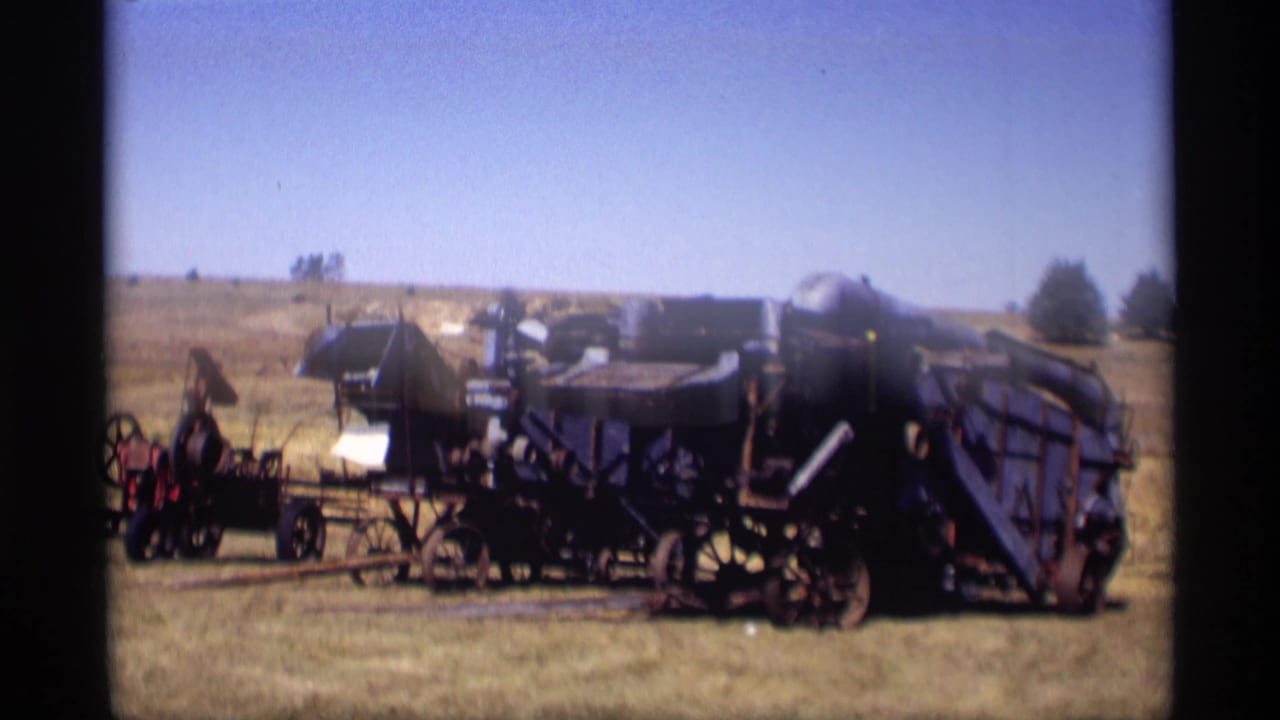 Antique farm machinery lined up in a sunny field.