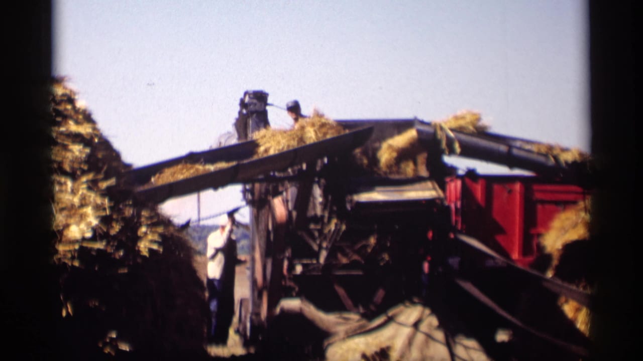 Grain processing machine with hay or grain feeding across conveyors beside workers.