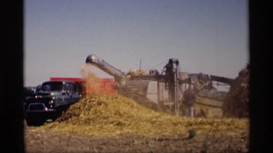 1969 Jordan, Minnesota farm frame showing a conveyor dropping hay or grain near a blue pickup and field processing equipment.