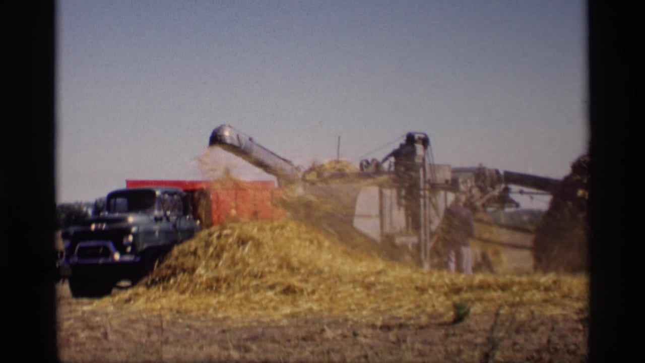In Jordan, Minnesota in 1969, farm machinery sprays shredded hay beside a blue truck and a large straw pile in an open field.