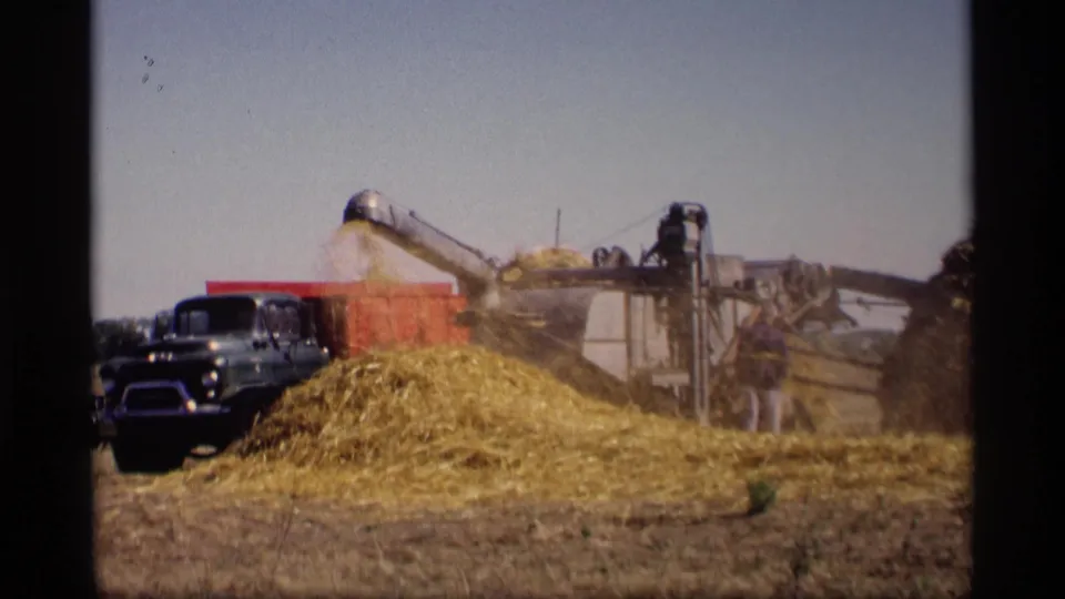 1969 rural Minnesota footage shows a hay-shredding machine throwing straw into a pile, with a blue truck parked next to the work area.