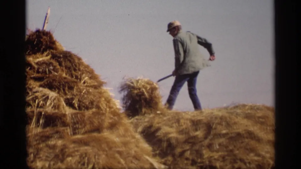 In the 1969 Jordan, Minnesota farm scene, a man in a hat uses a pitchfork while standing among stacked hay under a clear sky.