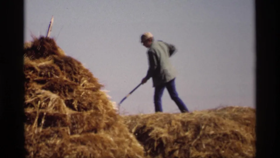 A man in work clothes carries or uses a pitchfork near large hay stacks in this 1969 rural Jordan, Minnesota home-movie frame.
