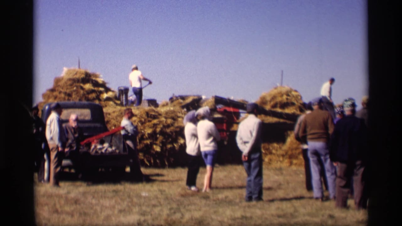 In Jordan, Minnesota in 1969, people gather by pickup trucks and large hay piles as one person appears to pitch hay in a field.