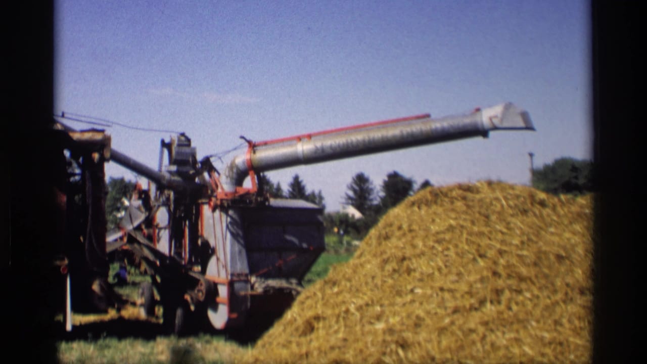 Red and grey thresher beside a large straw pile in a sunny field.
