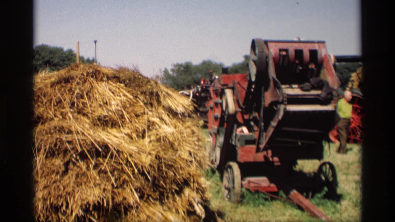 Hay pile beside a red farm machine in a grassy field.