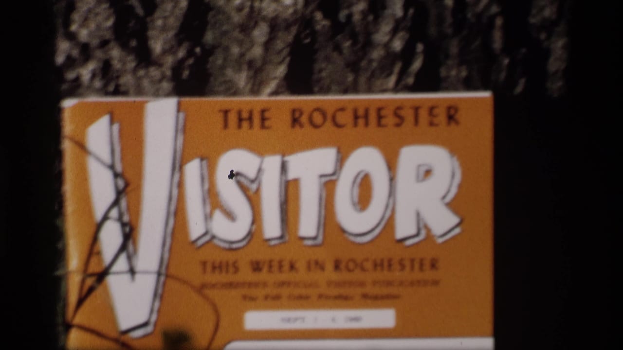 Close-up of The Rochester Visitor cover against a dark tree background.
