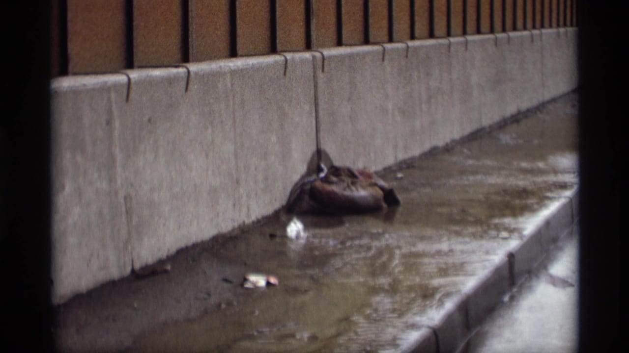 Wet curb beside a concrete barrier with a dark sandbag and small litter pieces.