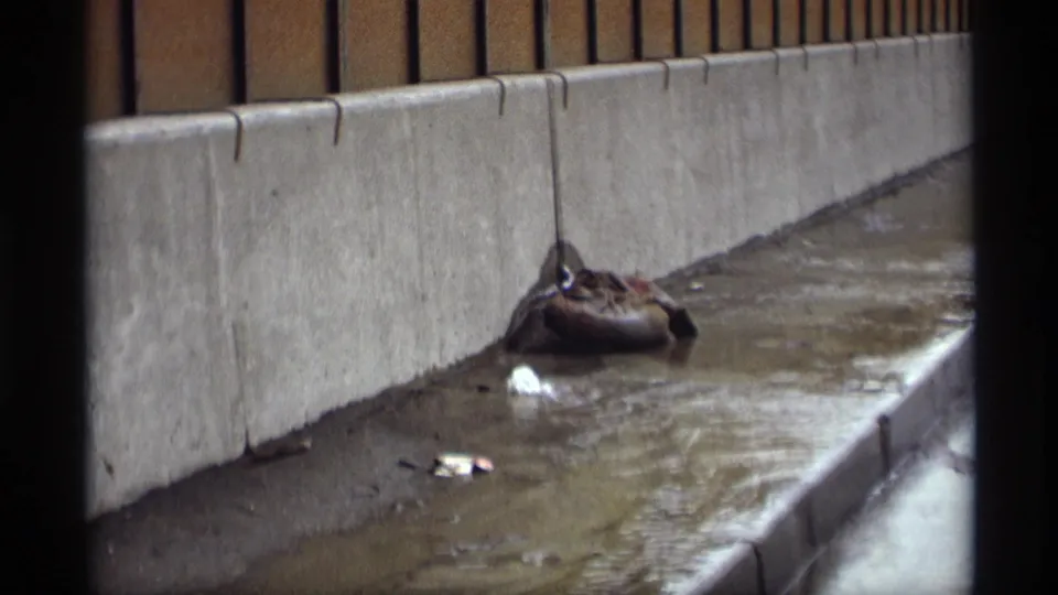 Saint Paul 1969 home-movie frame showing shallow water, a sandbag, and a long concrete barrier receding across the scene.