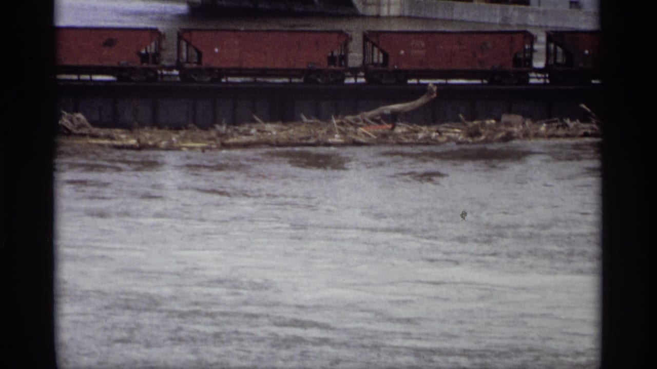 Freight cars pass above a grey river with driftwood along the bank.