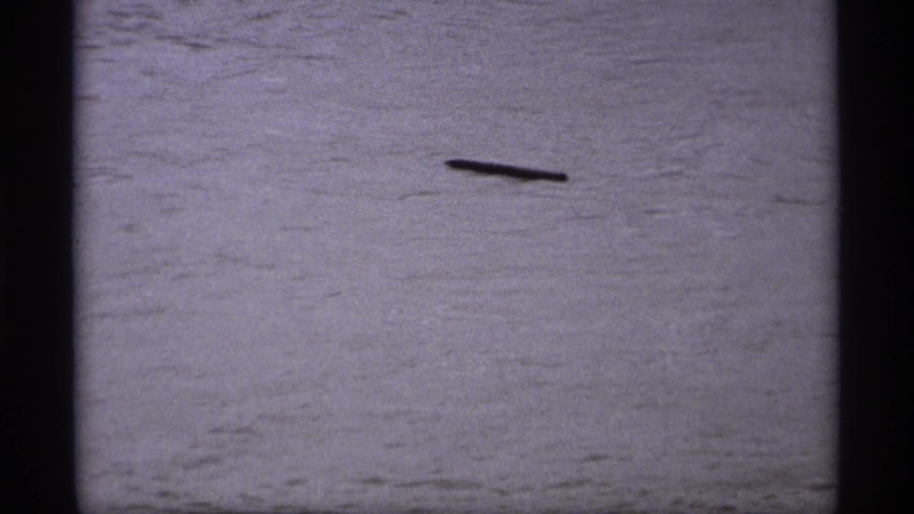 Dark elongated object floating on choppy floodwater.