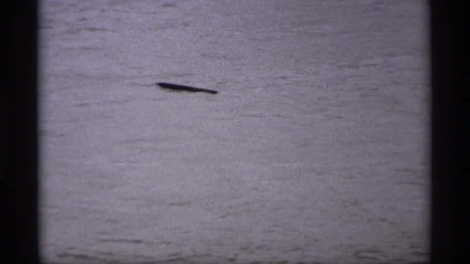 A dark object appears on the surface of floodwater in 1969 Saint Paul footage, with no people visible.
